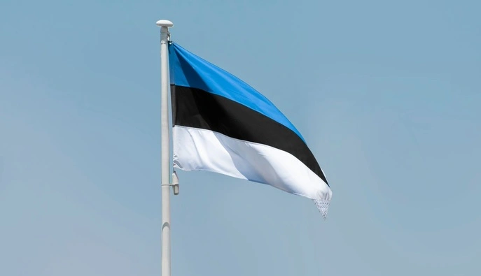 Эстония обвинила РФ в поджоге оборонной компании, поставляющей Украину технику