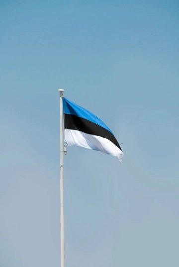 Естонія звинуватила РФ у підпалі оборонної компанії, яка постачає Україні техніку