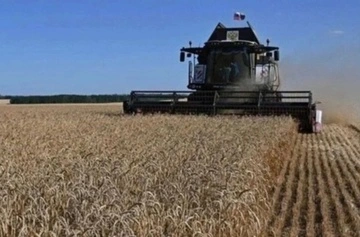 Румунія та Польща не готові розширювати транзит українського зерна через свої території — Politico