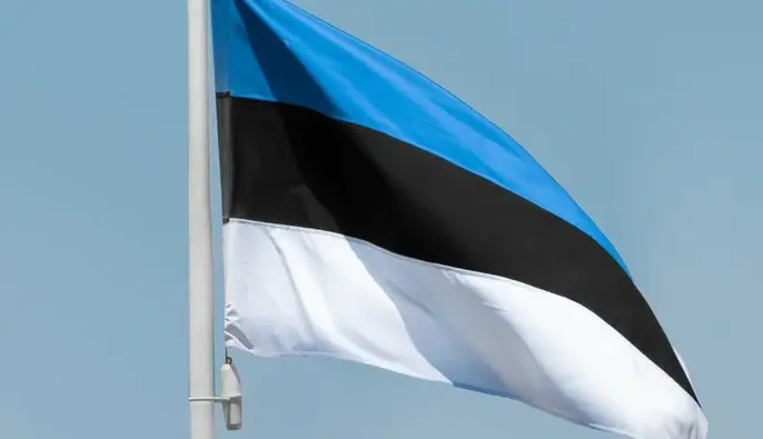 Естонія посилює кордон із Росією елітними військами — FT