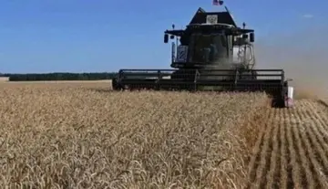 Нові шляхи для експорту російського зерна не рятують Кремль — СЗР