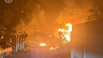 В Киевской области РФ уничтожила стационар приюта для птиц: погибли животные