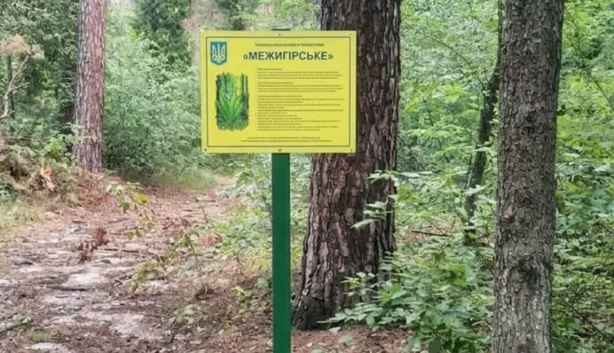Прокуратура через суд требует установить границы заказника "Межигорское": детали