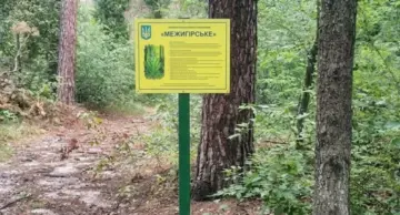 Прокуратура через суд вимагає встановити межі заказника "Межигірське": деталі