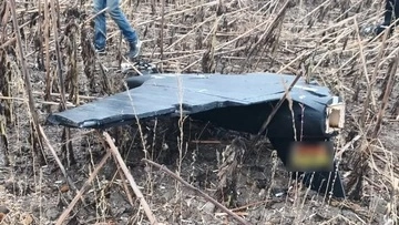 На Буковині прикордонники збили російський безпілотник біля кордону з Молдовою