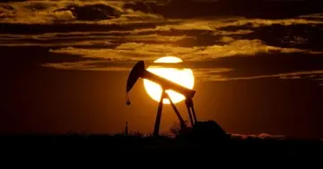 Ціни на нафту несподівано зросли до максимуму, незважаючи на кроки Трампа назустріч Росії