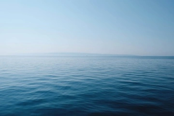 Европарламент призвал ЕС к военной операции в Черном море