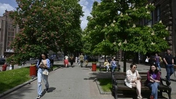 В Киеве ищут способ сохранить каштаны: как деревья страдают от вредителя