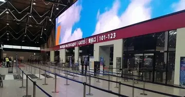 У московських аеропортах затримали або скасували понад 210 рейсів — ЗМІ