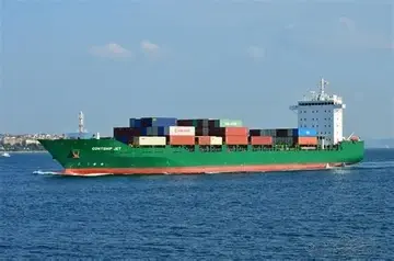 У Чорному морі дрони атакували контейнеровоз під прапором Ліберії