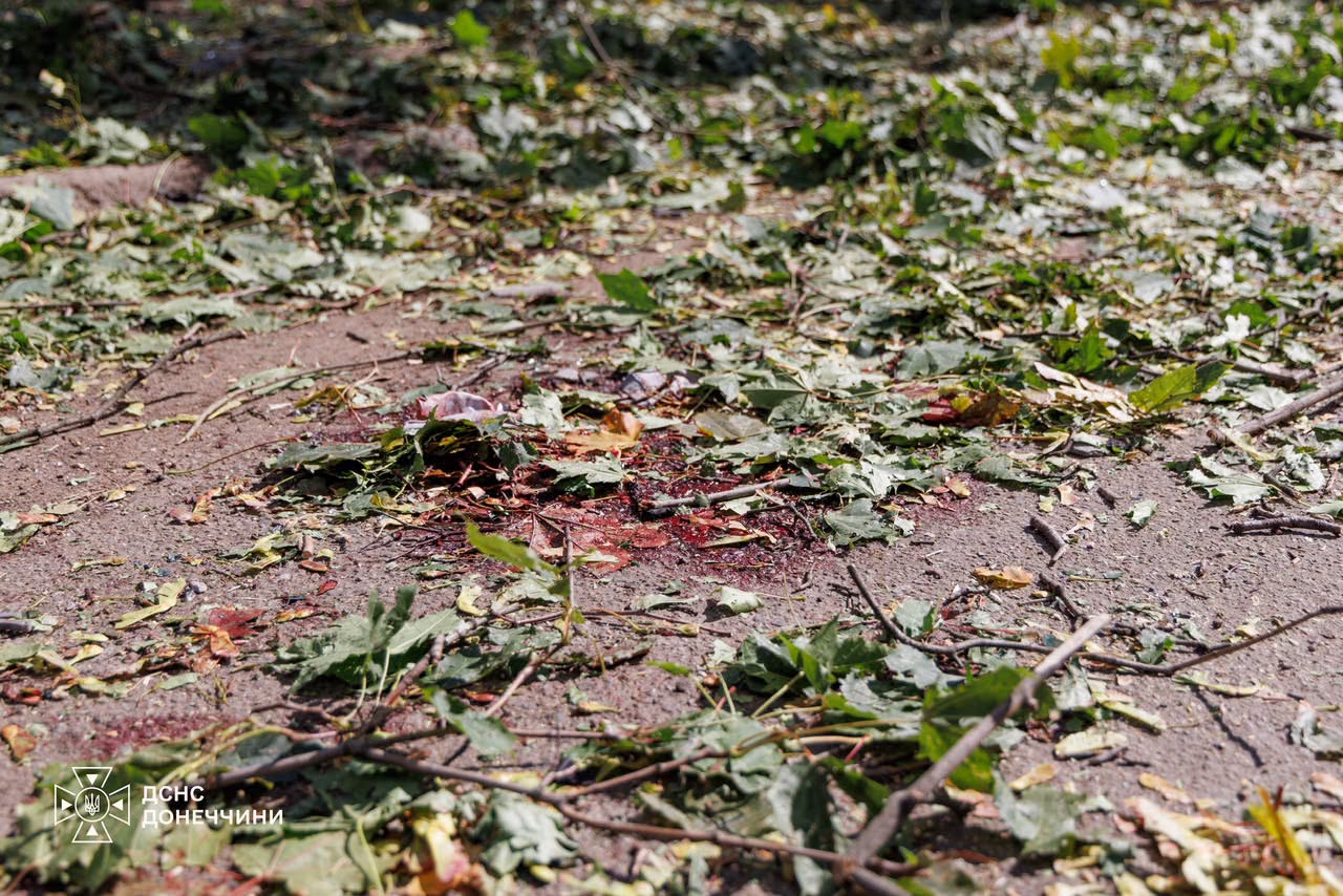 816123932_1056822353635339_6937924745829856624_n.jpg (252 KB)