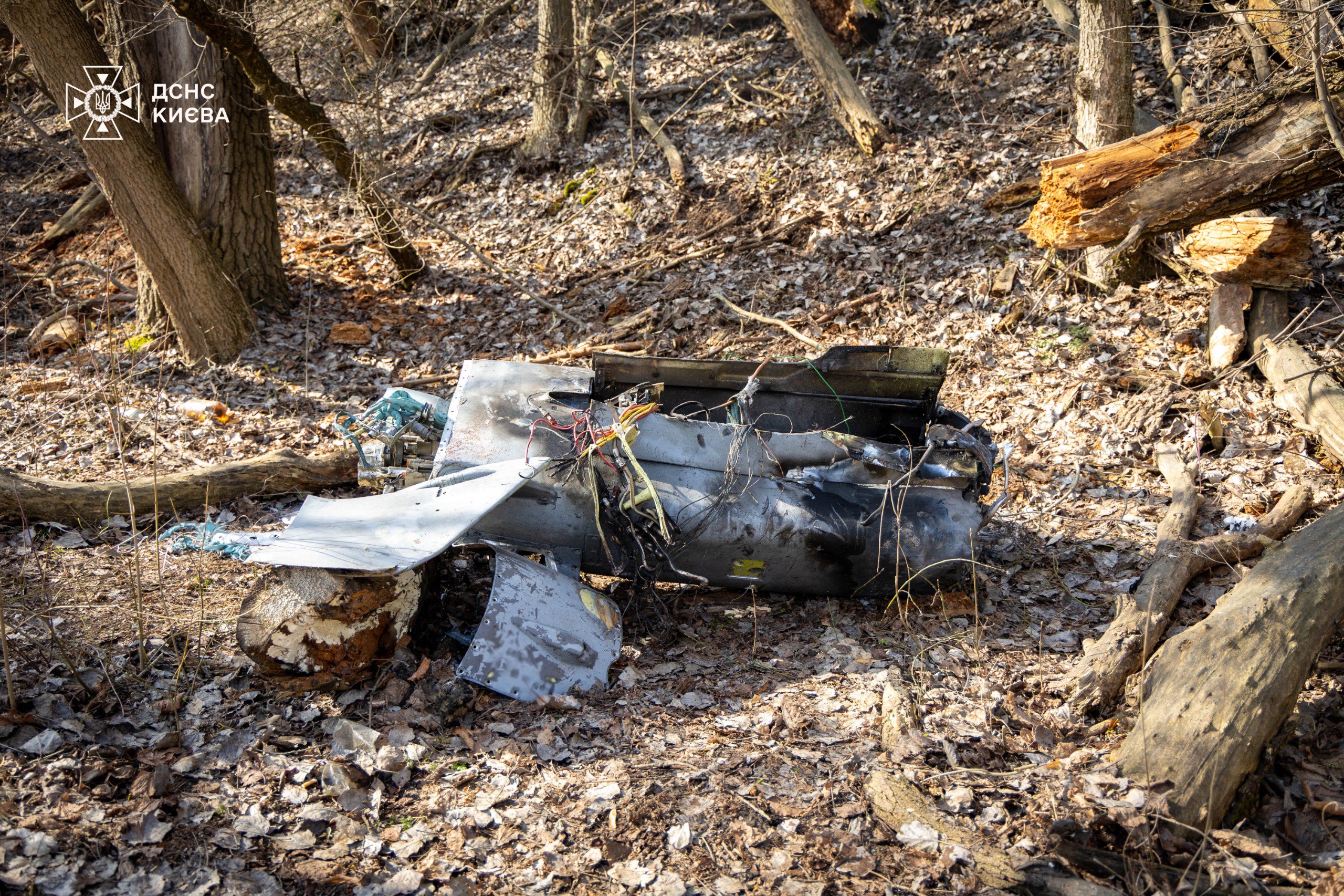 photo_2026-03-19_10-16-58.jpg (1.53 MB)