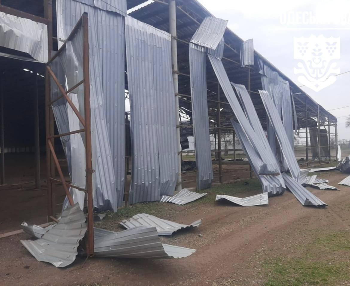 photo_2026-03-22_17-02-42.jpg (115 KB)