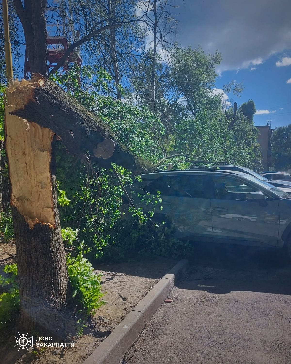 photo_2026-04-26_16-15-05.jpg (403 KB)