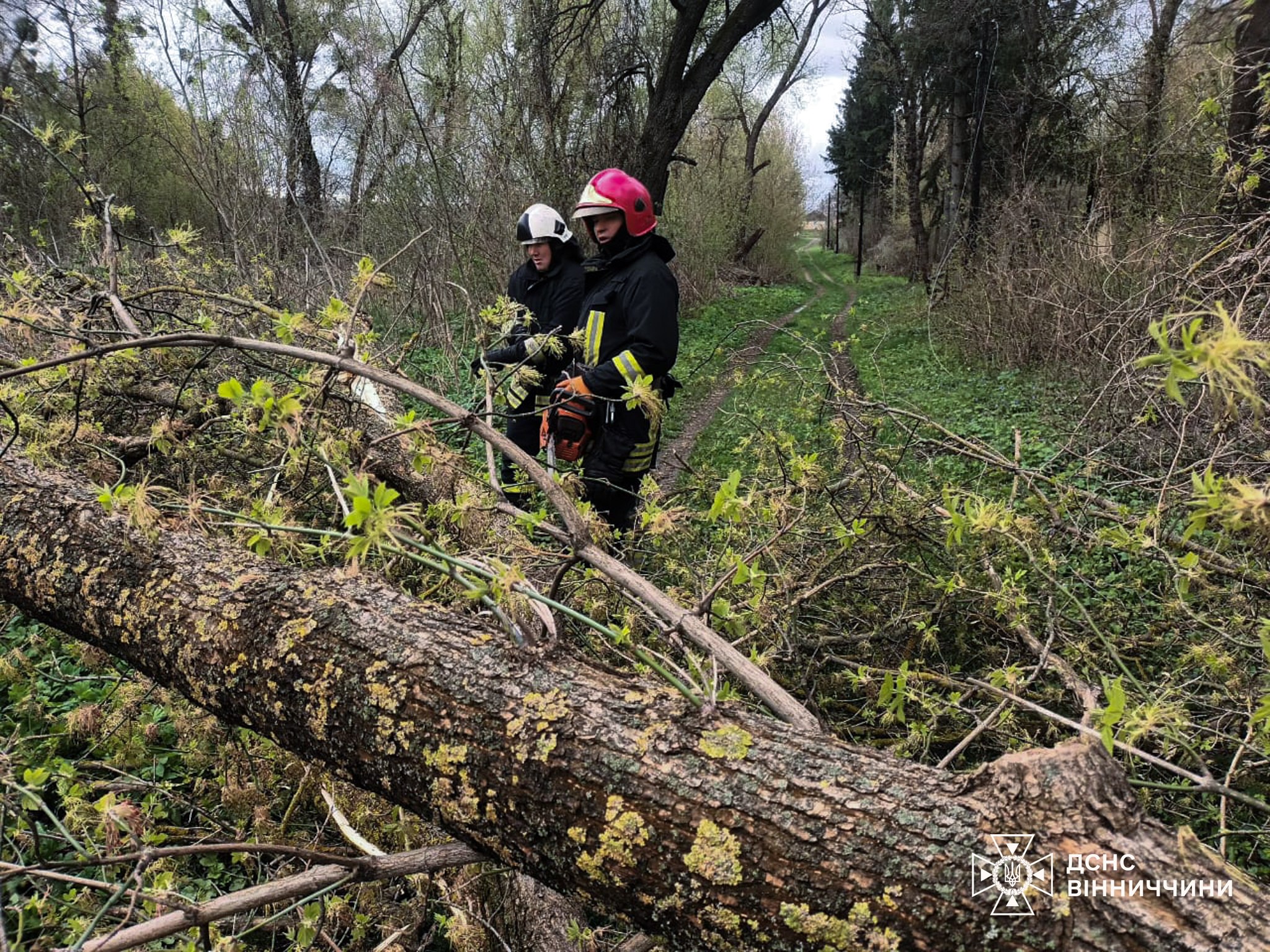 photo_2026-04-26_16-15-08 (5).jpg (971 KB)