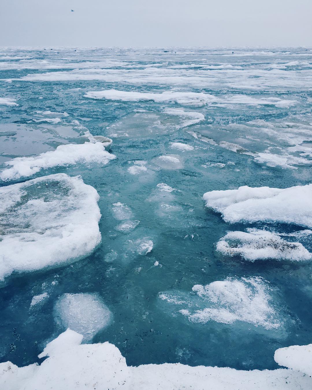 Океан покрытый льдом. Замерзшее море в Одессе. Карское море. Зимнее море. Замерзшее черное море.
