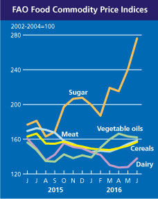 Изменение цен на продукты питания в мире в 2015-2016 годах
