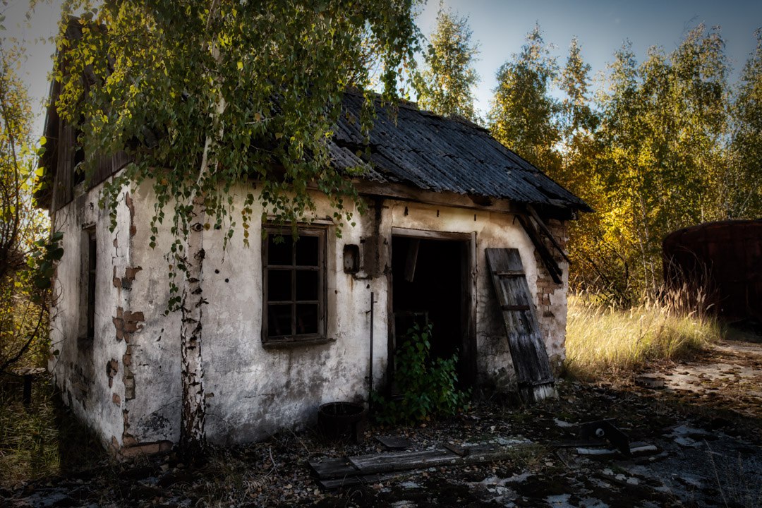 Зона отчуждения. Чернобыльская зона отчуждения. Зона ЧЗО. Дом ЧЗО. Снимки зоны отчуждения.