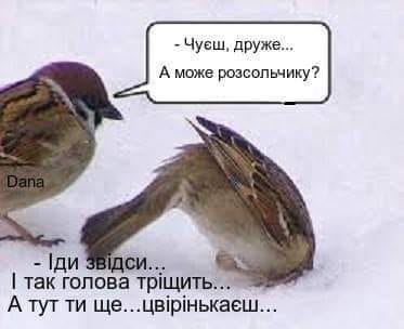 Если праздник удался: появились меткие фотожабы на состояние 1 января