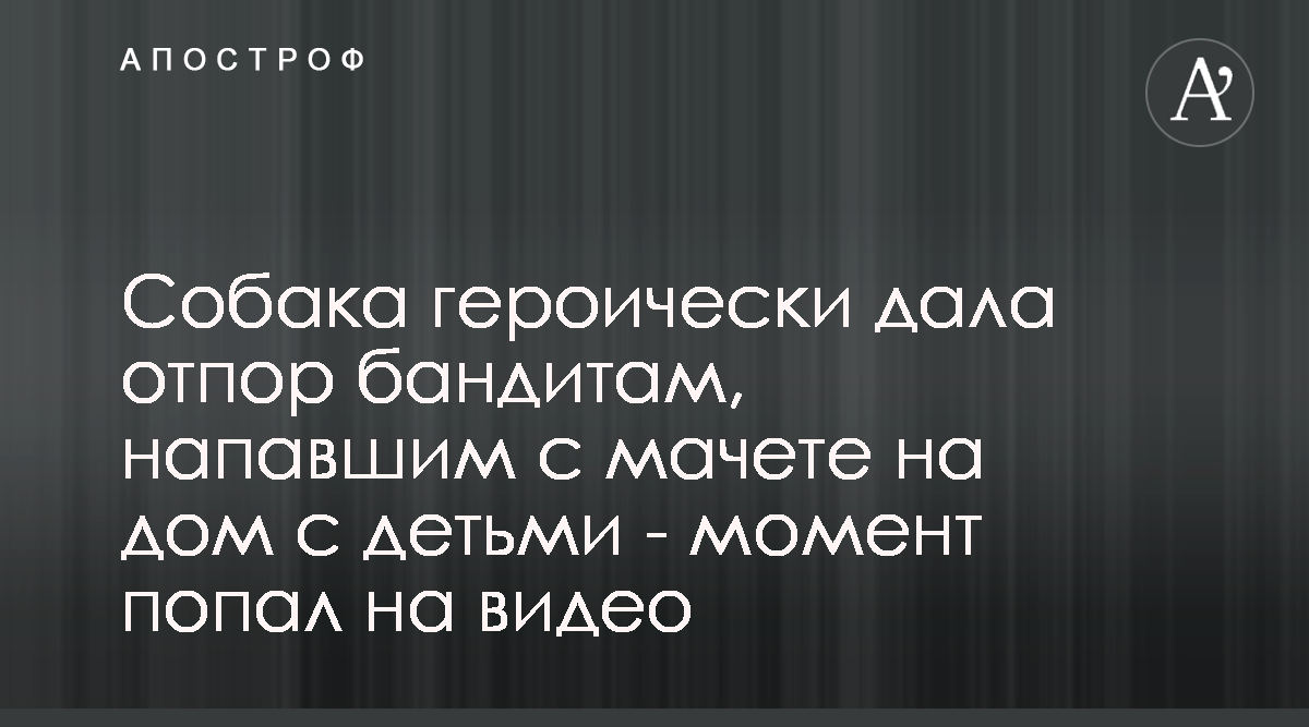 Собаки героически дали отпор бандитам, напавшим с мачете на дом с детьми -  момент попал на видео - Апостроф