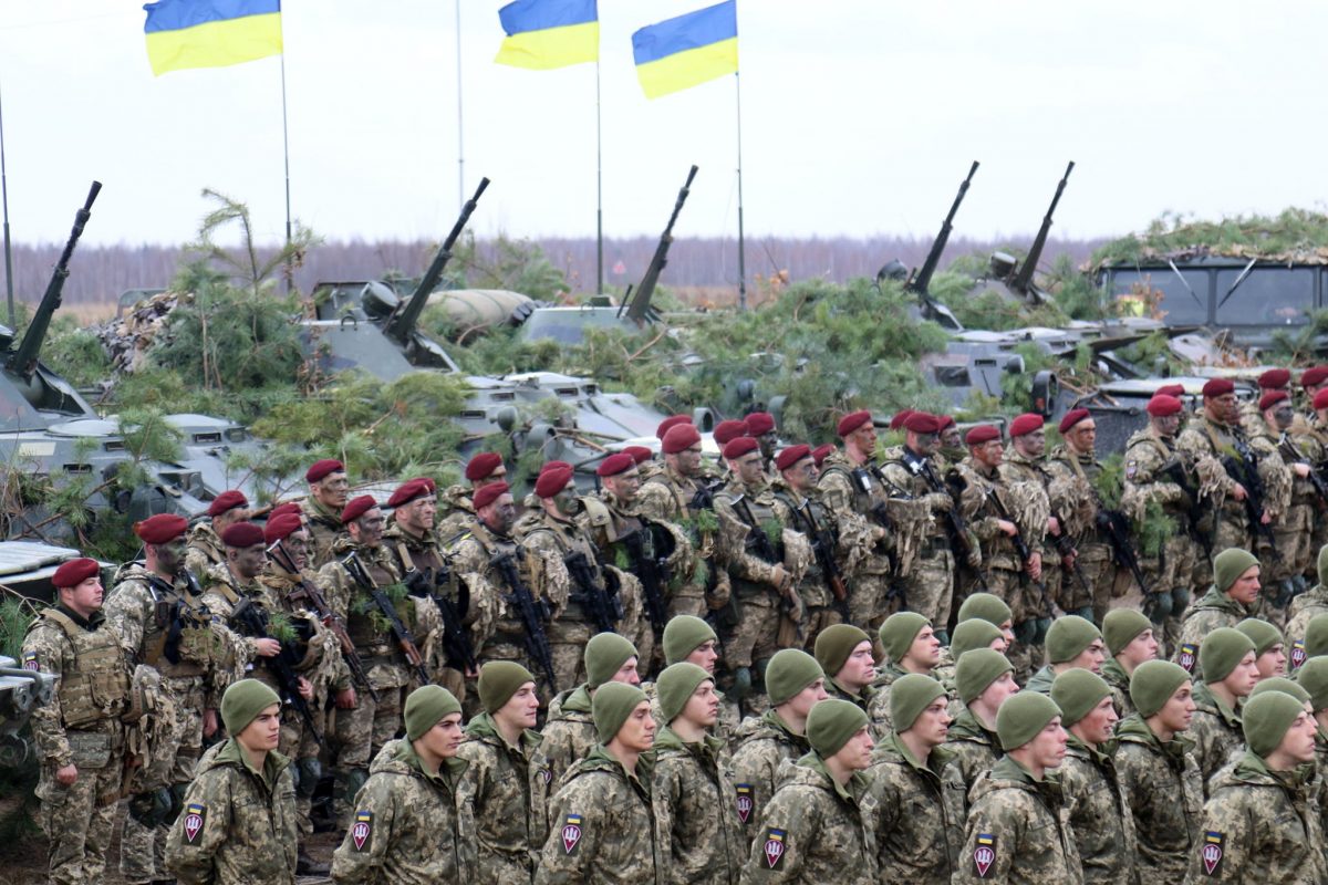 Учения Десантно-штурмовых войск под Житомиром - опубликованы яркие фото -  Апостроф