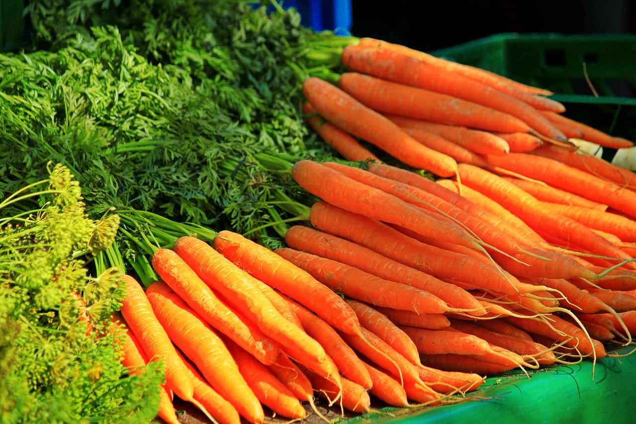 Шьем яркую морковку