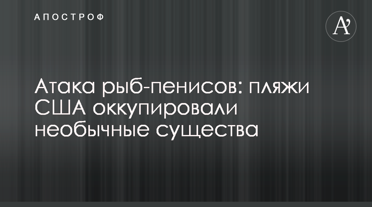 В Калифорнии пляжи заполнила рыба-член - Фото - Апостроф