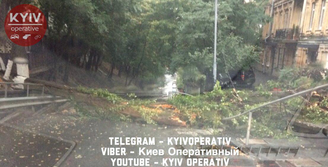​У Києві повалене дерево перекрило дорогу: опубліковано фото