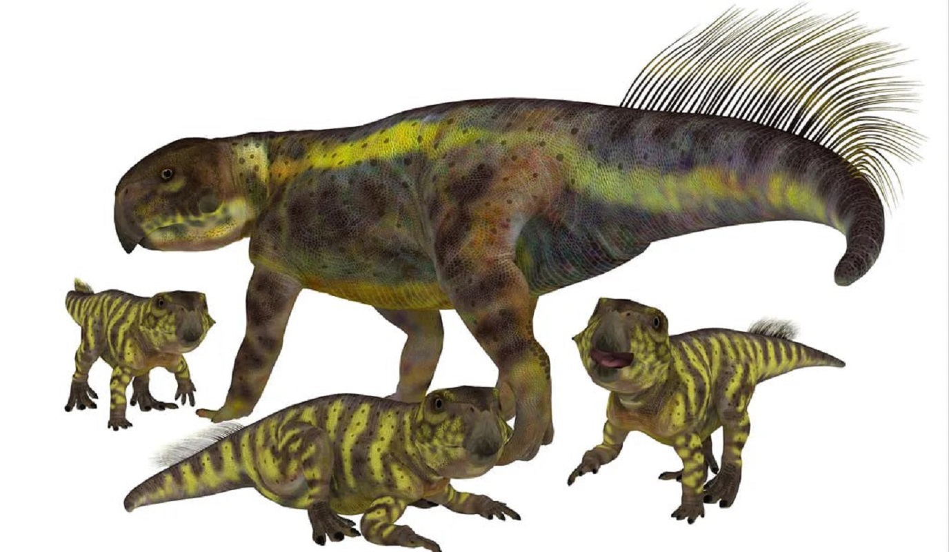 Как выглядели и что известно о динозаврах Psittacosaurus с клювом –  результаты нового исследования - Апостроф