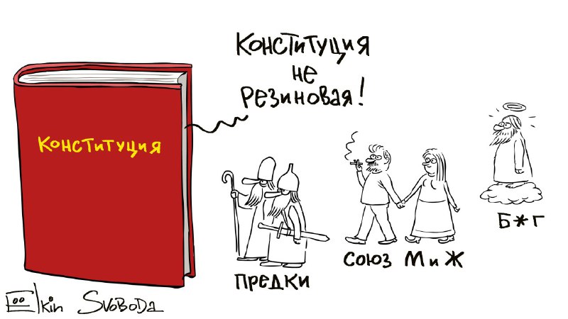 Картинки по запросу "конституция РФ карикатура"