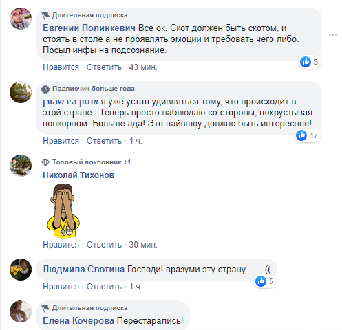 Тварин перетворили на солдатів СРСР: мережі повеселило відео свята в Росії