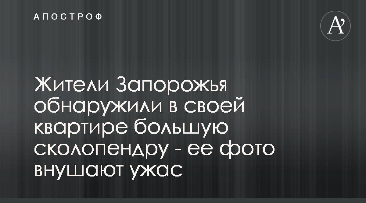 Жители Запорожья обнаружили в своей квартире большую сколопендру - ее вид  вселяет ужас - Апостроф