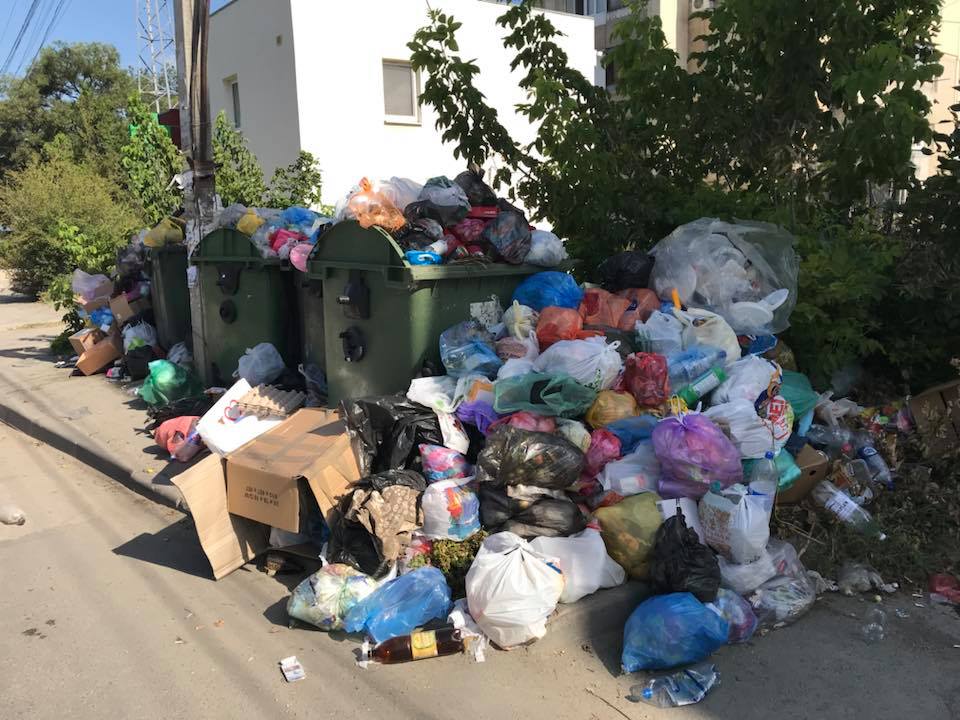 Народ верещить: в мережі показали початок епідемії в столиці Криму