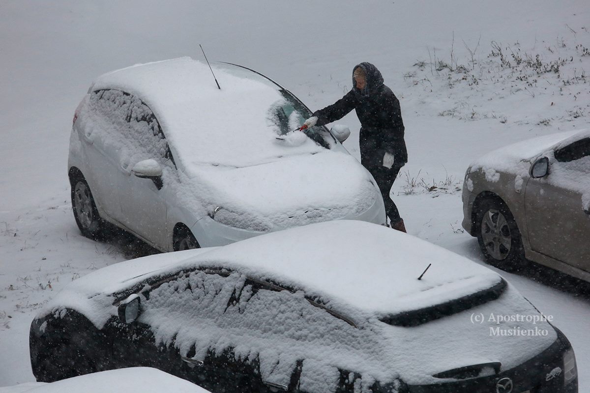 У Києві знову зима: в мережі парад яскравих фото снігопаду в столиці
