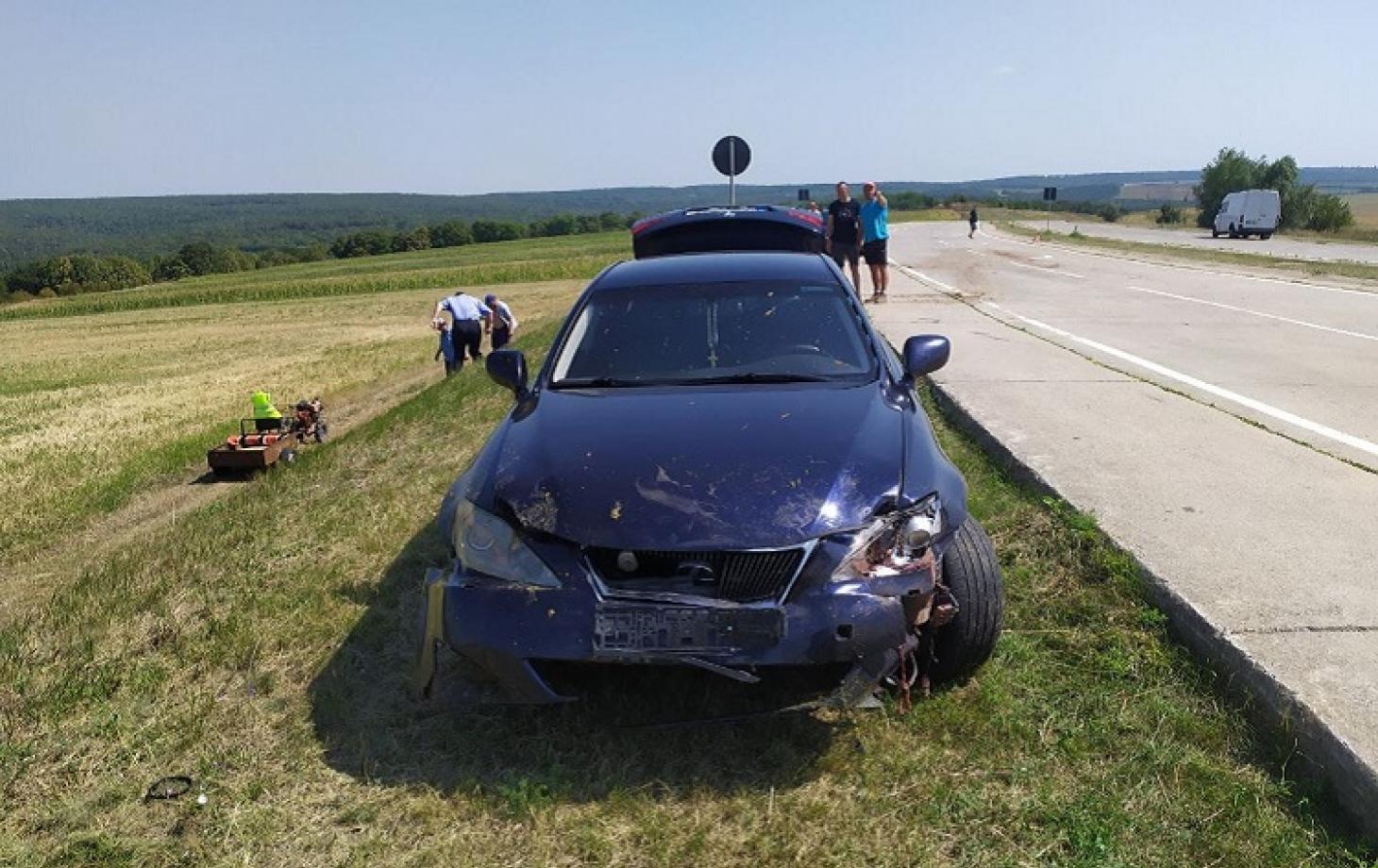 Водитель элитного авто влетел в стадо овец в Молдове, 29 животных погибли  на месте - фото и видео - Апостроф