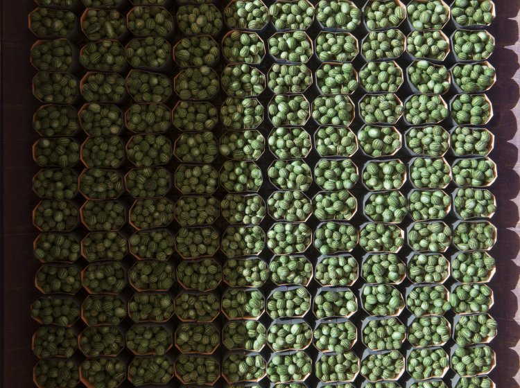 25 августа 2018