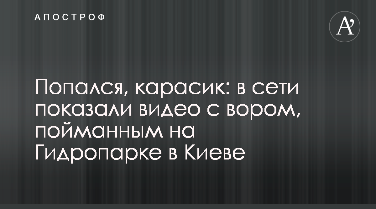 Идеальное место для вашего праздника на территории Гидропарка