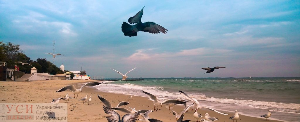 Тепло літа йде: з'явилися свіжі пляжні фото з Одеси