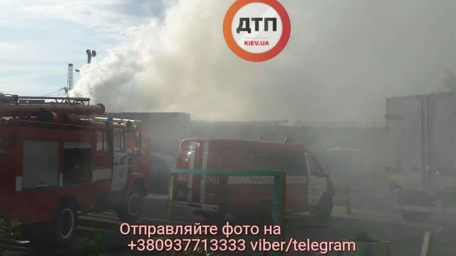 Обнаженную Кейт Миддлтон купил Джонни Депп Обнаженную Кейт Миддлтон купил Джонни Депп