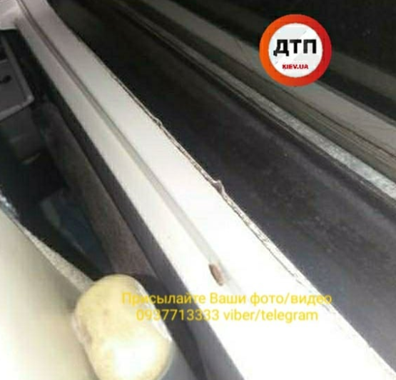 Пассажиров «Укрзализныци» возмутили тараканы в вагонах. Фото